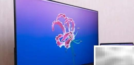 2K屏不推荐？真相揭秘！