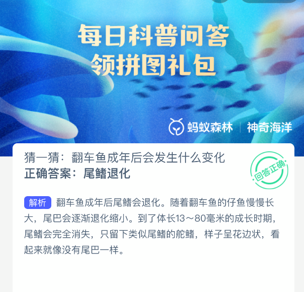 翻车鱼成年后会变什么样？