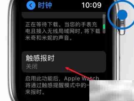 Apple Watch触感报时开启方法