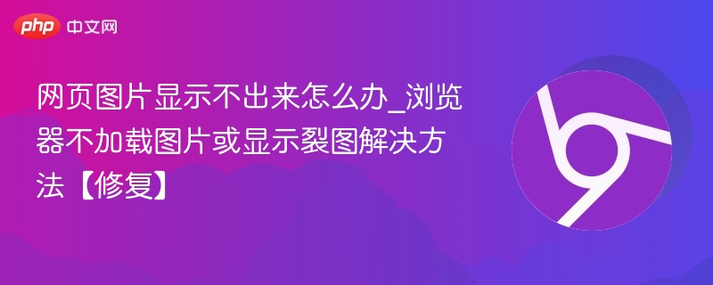 图片不显示或裂图怎么解决？浏览器加载问题修复教程