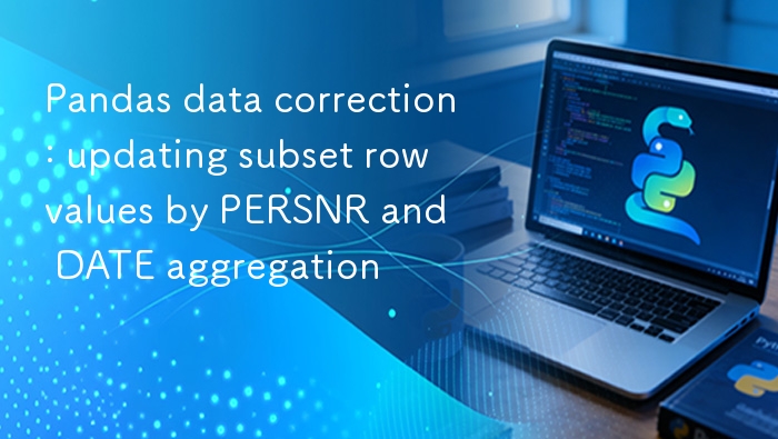 Pandas 按 PERSNR 和 DATE 聚合更新数据