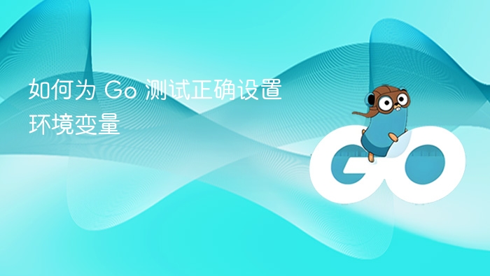 Go 测试环境变量设置方法