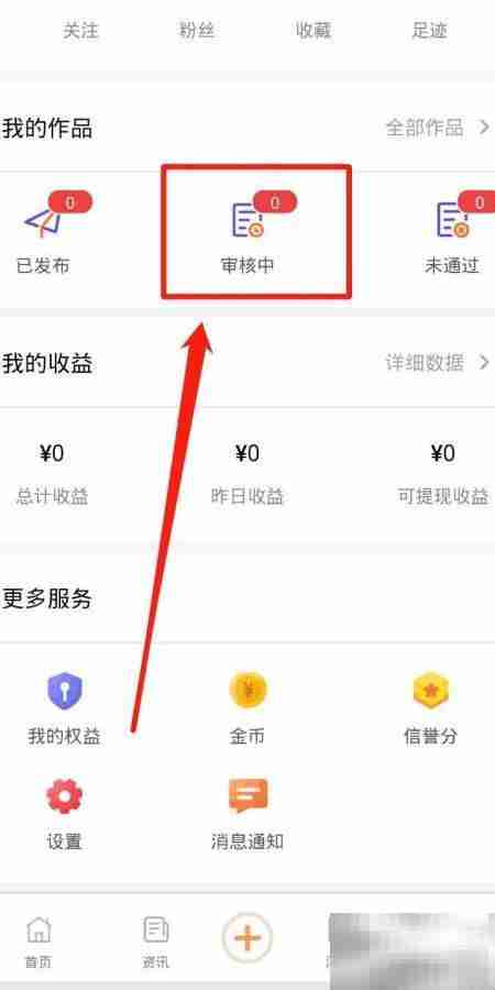 立知讯审核中如何查看