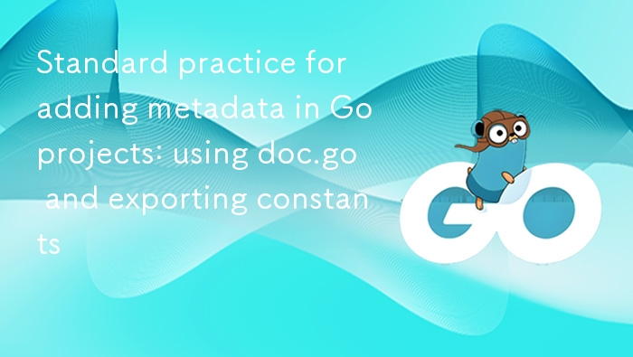 Go 项目元数据管理：doc.go 与常量使用指南