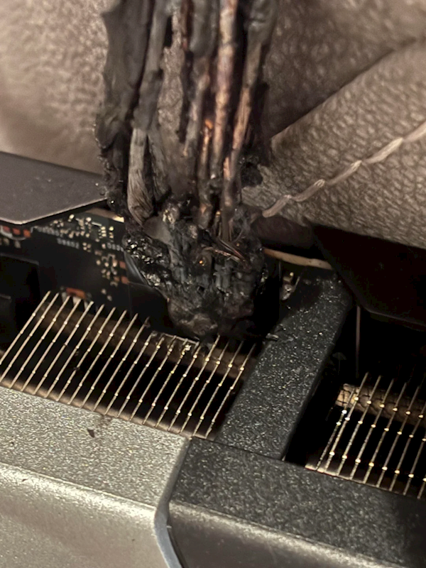 RTX 5090电源线起火，水冷管受损严重