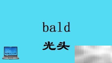 常见英文词汇：head, top, leader, chief, director, manager, executive, supervisor, offic