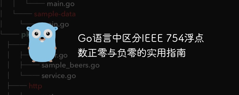 Go语言如何区分正零与负零？