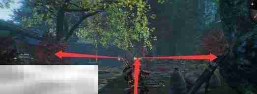 仁王3描绘甲斐之虎任务完成方法 描绘甲斐之虎怎么完成