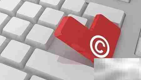 商标驳回后如何复审？