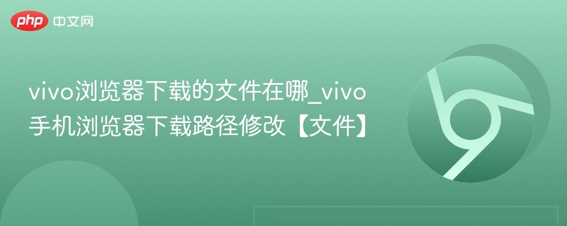 vivo浏览器下载的文件在哪_vivo手机浏览器下载路径修改【文件】