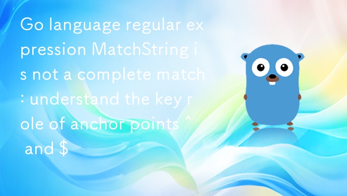 Go正则MatchString匹配问题：^和$锚点作用解析