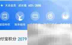 支付宝会员积分用途解析