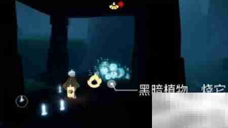 光遇2.22每日任务速通指南