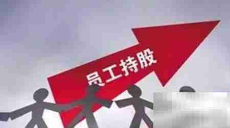 HR巧设员工持股方案