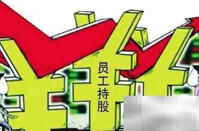 HR巧设员工持股方案