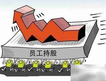 HR巧设员工持股方案