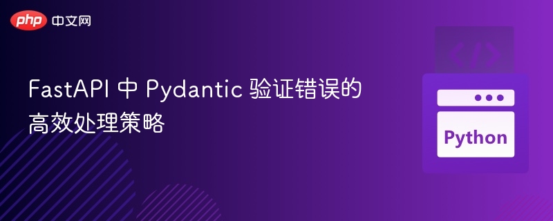 Pydantic 验证错误高效解决方法