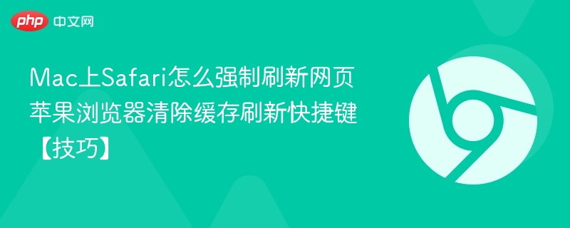 Mac上Safari怎么强制刷新网页 苹果浏览器清除缓存刷新快捷键【技巧】
