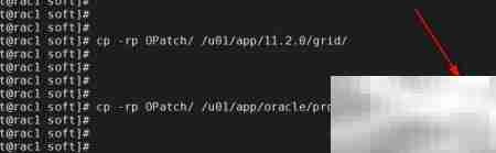 Oracle集群补丁步骤详解
