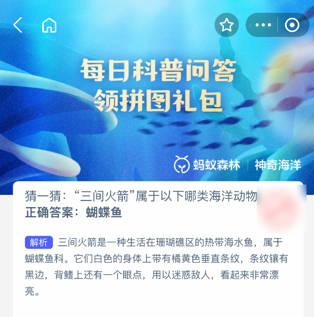 猜一猜间火箭属于以下哪类海洋动物