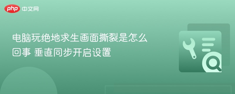 电脑玩绝地求生画面撕裂是怎么回事 垂直同步开启设置