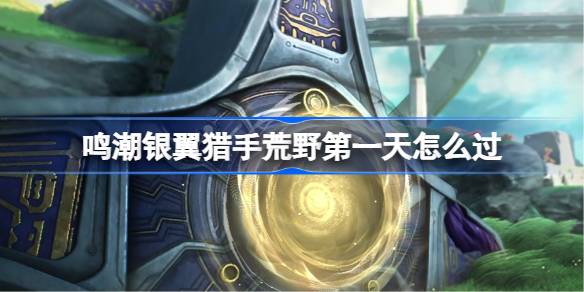 鸣潮银翼猎手荒野第二天通关技巧