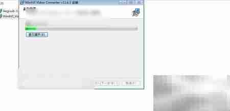 WinAVI内嵌SRT字幕教程