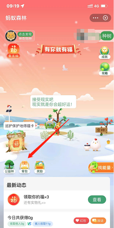 支付宝蚂蚁森林背景怎么更换