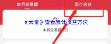云集如何查看全部收益