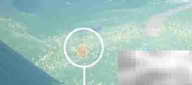 光遇8.16蜡烛位置速览