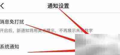 抖音系统通知在哪查看