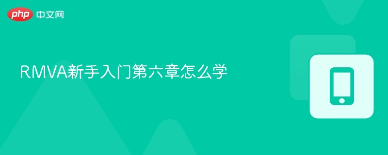 RMVA新手入门第六章怎么学