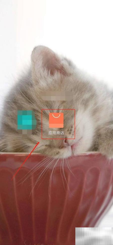 酷我直播怎么下载？全平台教程分享