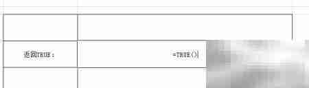 Excel中TRUE函数使用技巧