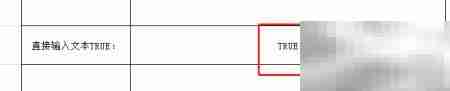 Excel中TRUE函数使用技巧