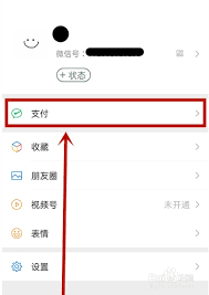 微信金额隐私保护功能如何设置