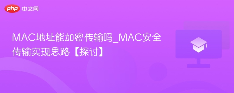 MAC地址能加密传输吗？安全传输实现思路