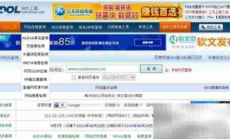 站长工具查网站