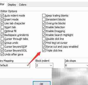 DzSoft PHP Editor关闭三击线