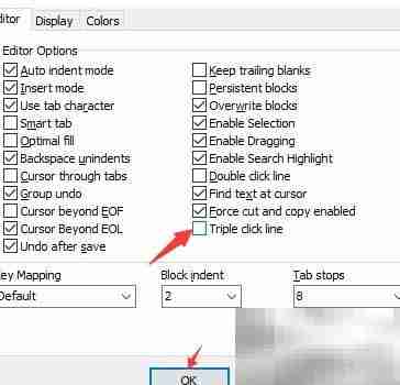 DzSoft PHP Editor关闭三击线