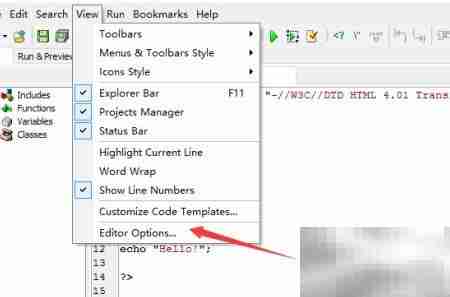 DzSoft PHP Editor关闭三击线
