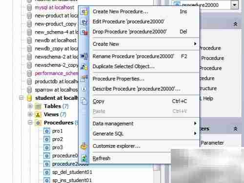 Maestro复制存储过程参数技巧