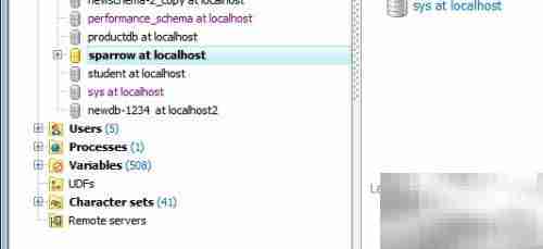 Maestro复制存储过程参数技巧
