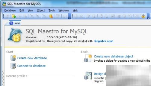 Maestro复制存储过程参数方法