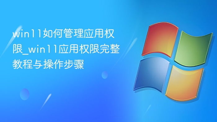 Win11应用权限管理教程与设置方法