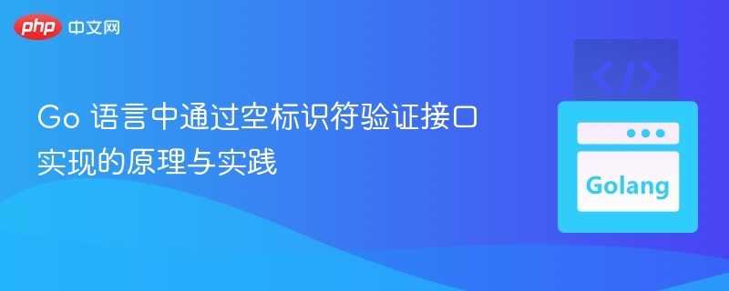 Go 语言空标识符接口验证原理详解
