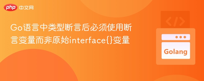 Go语言类型断言后应使用断言变量
