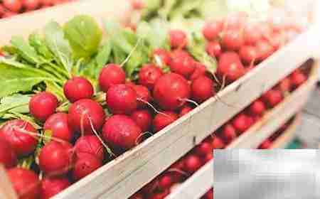 餐饮配送系统前景与优选推荐