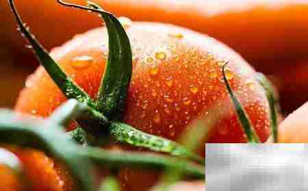 餐饮配送系统前景与优选推荐