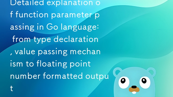 Go语言参数传递全解析：类型声明与值传递技巧